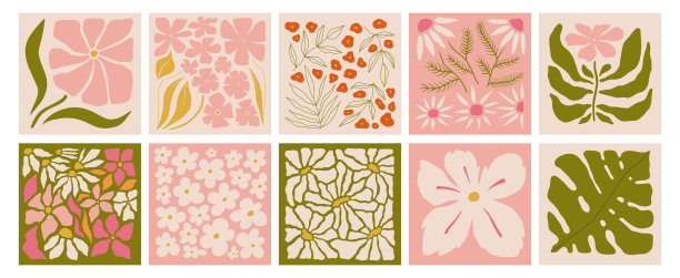 一套花图案。室内绘画。五颜六色的花的封面，海报和图片插图。矢量插图。带有鲜花的现代花卉海报。图片下载