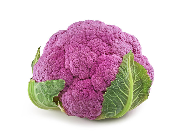 新鲜的紫色花椰菜孤立在白色背景图片下载