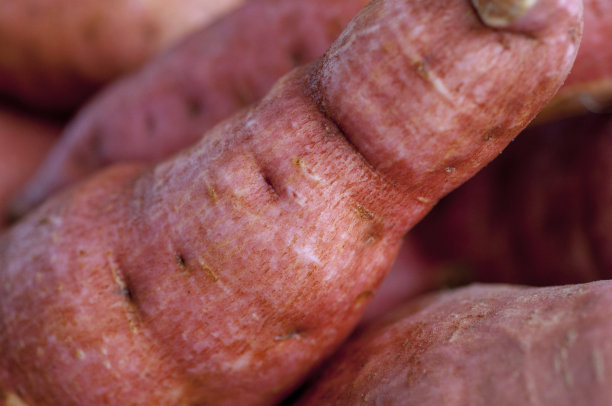 人类，重要的主食，红薯，图片下载