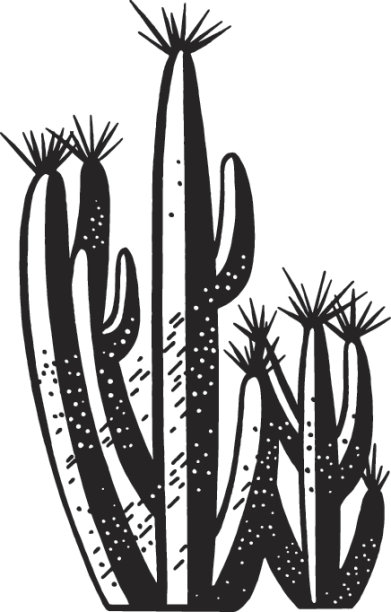 仙人掌的看法图片下载