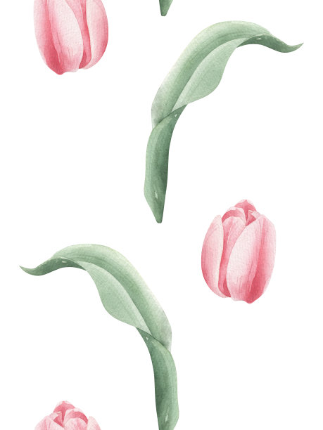 水彩无缝图案与郁金香芽。图片下载