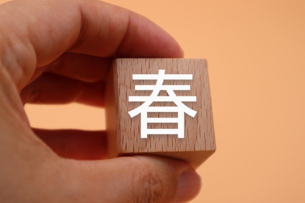 一个人拿着写为弹簧的木块图片下载