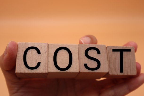 一个人拿着一块写着造价的积木图片下载