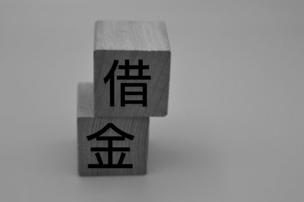 书面债务图片下载