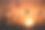 野花的黑色剪影映衬着明亮多彩的夕阳天空图片下载