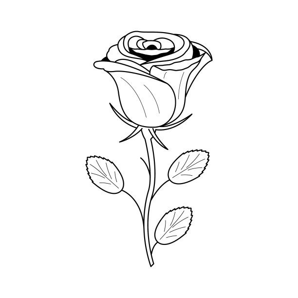 抽象手绘花玫瑰植物花自然开花涂鸦概念向量设计轮廓风格在白色背景孤立图片下载