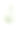 长荚果方茎柳兰，四角莲，维多利亚植物学插图，1863年图片下载