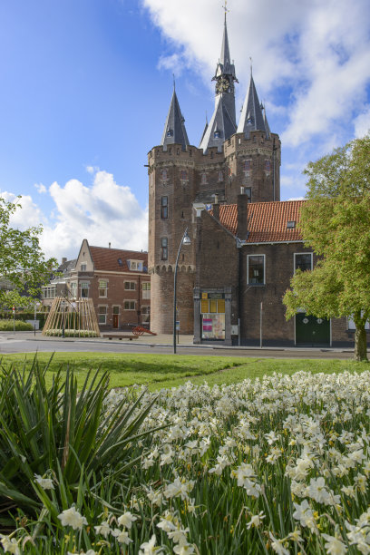 兹沃勒市萨森波特门前的水仙花图片下载