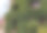 常青藤覆盖石墙圣保罗德旺斯，法国，风景如画的中世纪小镇图片下载