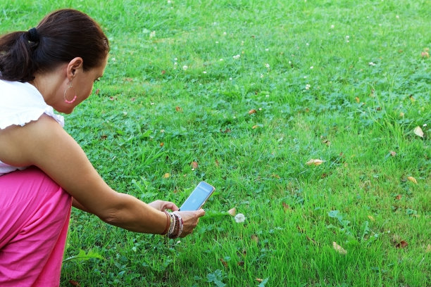 迷人的成年女子用手机拍摄花朵或蒲公英图片下载