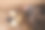 盒子里装着刚出生一天的小鸡图片下载