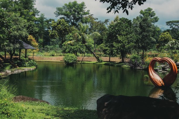 花园里绿色的池塘图片下载