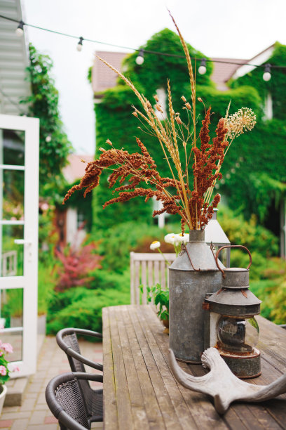 庭院里摆着复古菜肴和鹿角的木制餐桌图片下载