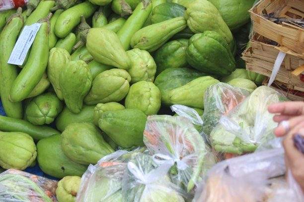 一些蔬菜图片下载