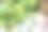 一些蔬菜图片下载