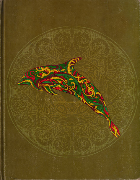 海豚的故事图片下载