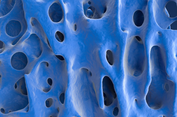 正常的骨骼结构(健康的骨皮质)-正面视图3d插图图片下载