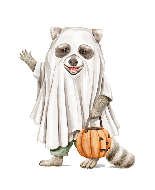 水彩可爱的浣熊角色在万圣节幻影服装与南瓜糖果桶图片下载