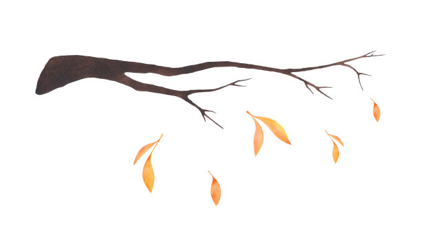 水彩画的树枝与落下的秋叶孤立在一个白色的背景。图片下载