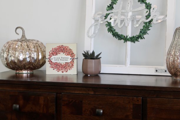 Gasteraloe多汁图片下载