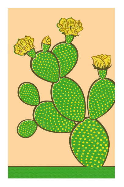 仙人掌(兔耳仙人掌)桃色背景图片下载