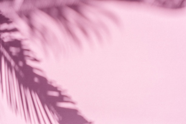 迷离的阴影热带棕榈叶在粉红色的墙壁背景。夏天的概念。图片下载