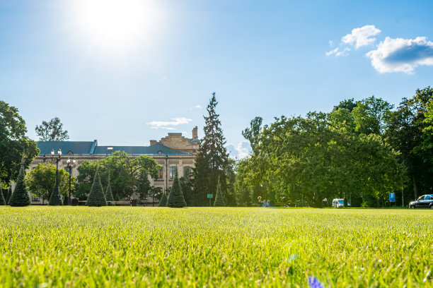 公园内，树木修剪得很漂亮图片下载
