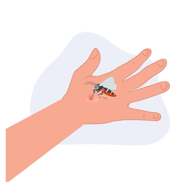 一个卡通插图，蚊子在人的手上吸血。图片下载