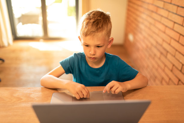 小男孩在使用笔记本电脑。图片下载