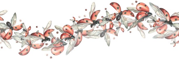 带黑点的红色瓢虫带着浆果飞来飞去。水彩插图，手绘。无缝波浪板上的白色背景。图片下载