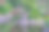 在伦敦荷兰公园的京都日本公共花园中，华丽的花园和装饰性的雕像图片下载