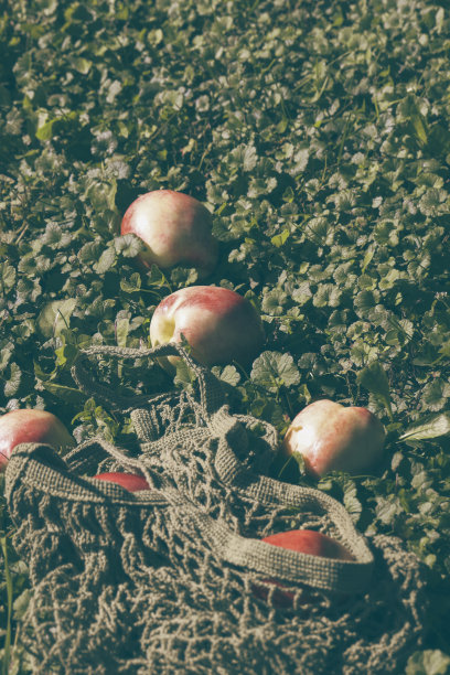 时尚的色彩组合，粉红色的桃子在可重复使用，网眼袋在草地的背景。零浪费，环保理念。购物和杂货风格图片下载