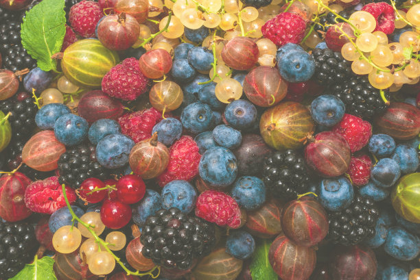 醋栗，蓝莓，桑葚，覆盆子，白醋栗和红醋栗。图片下载