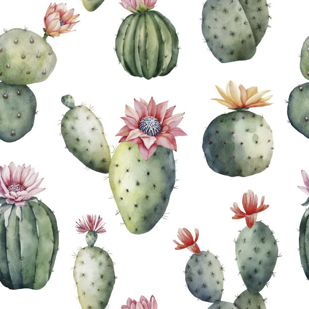无缝图案与绿色仙人掌和粉红色花蕾，水彩插图。图片下载