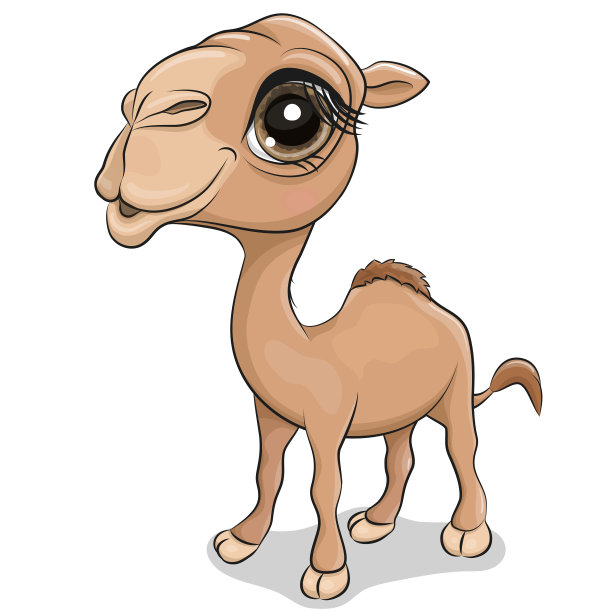 Сartoon在白色背景上孤立的骆驼图片下载