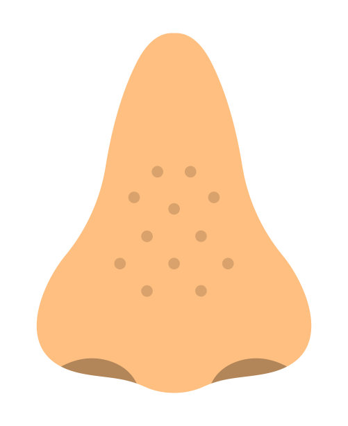 鼻子毛孔隔离矢量插图图片下载