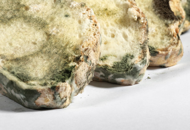 黑麦面包上的霉。变质的食物图片下载