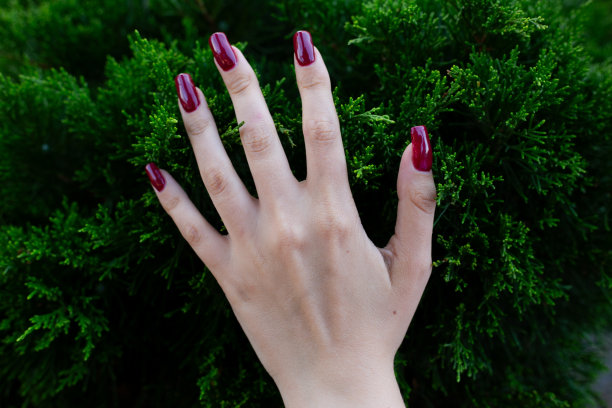 女孩左手用长指甲修剪着红色的樱桃，触摸着树叶图片下载