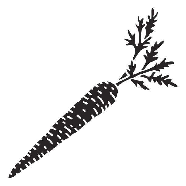 胡萝卜细切图片下载