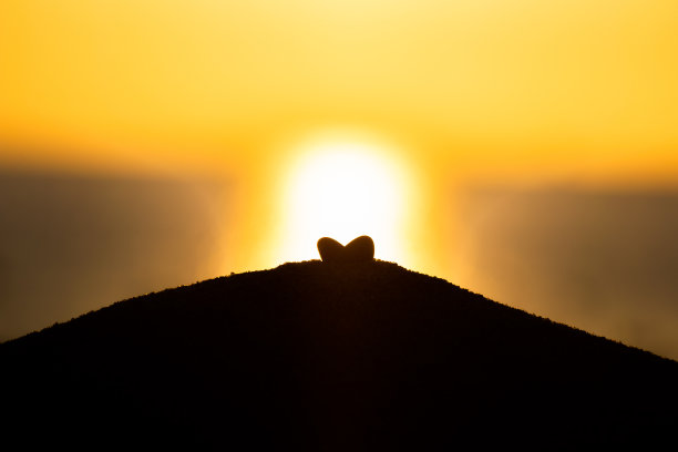 心的轮廓图片下载