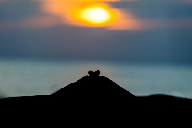 心的轮廓图片下载