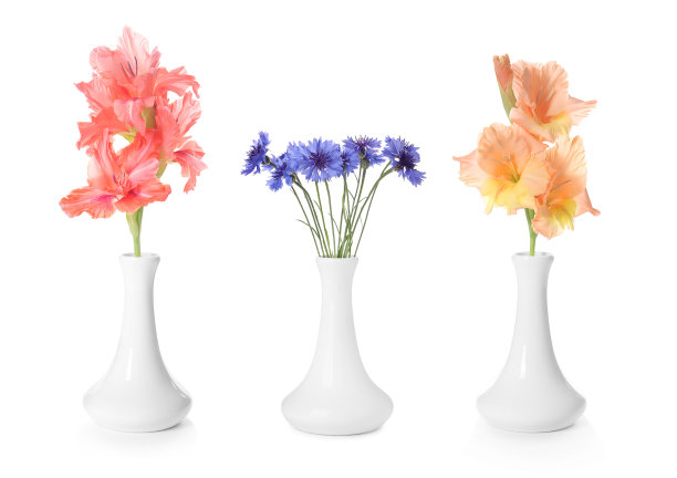 白色背景上不同花束的时尚花瓶拼贴图片下载