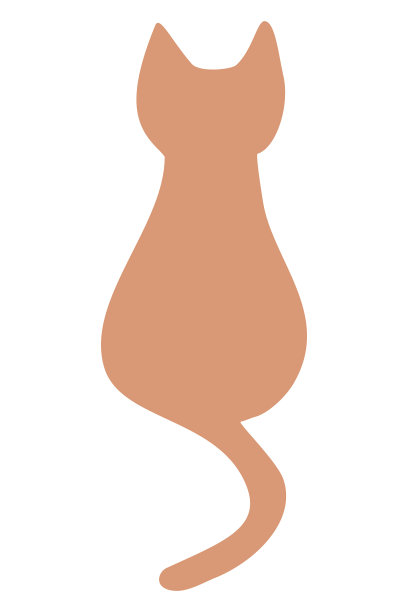 家猫的剪影坐在后面看和图片下载