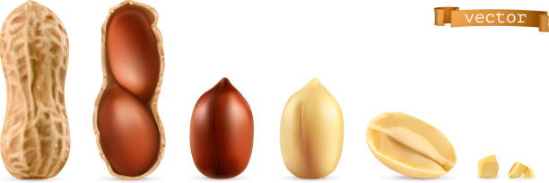 花生3d现实对象集图片下载