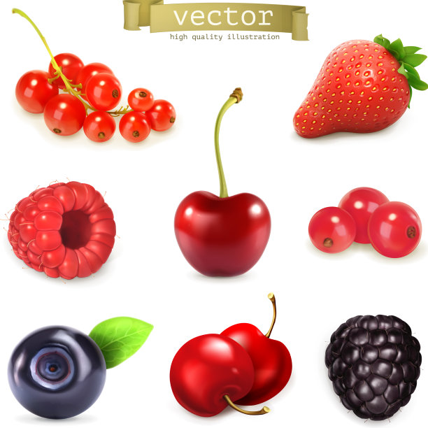 高品质的甜莓集图片下载