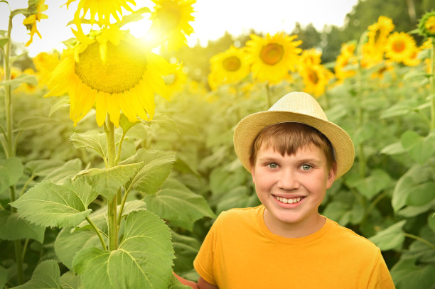 夏日田野里可爱的孩子拿着向日葵图片下载