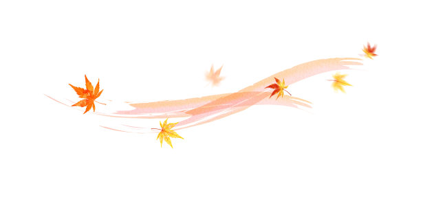 舞蹈枫，背景与水彩触摸，纹理插图，白色背景图片下载