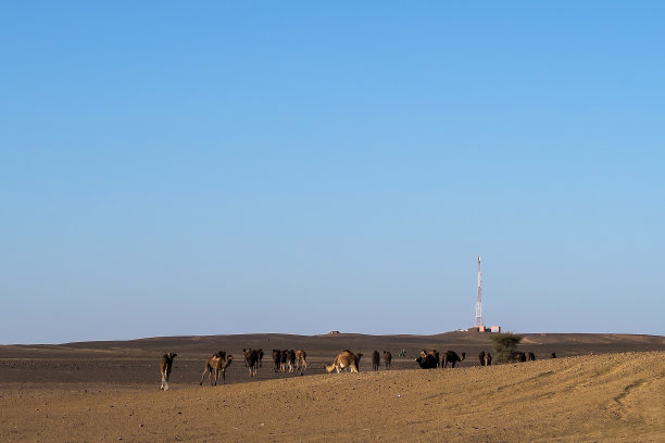沙漠中的风景，照片作为背景图片下载