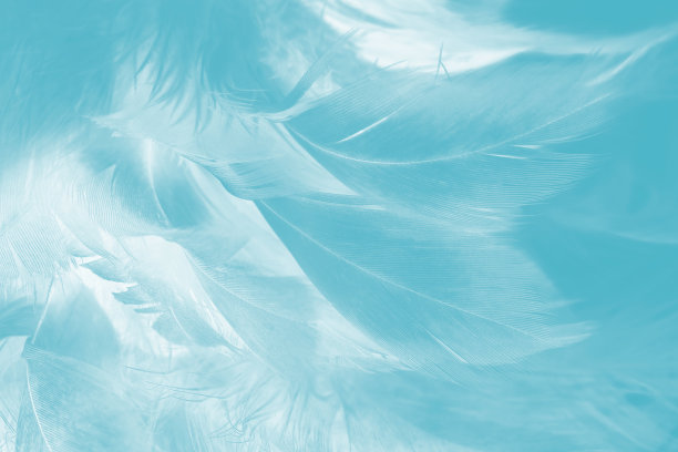 美丽的蓝色绿松石复古色趋势羽毛图案纹理柔和的背景图片下载