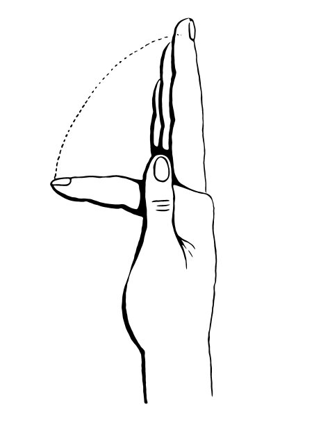手部和手指的练习图片下载